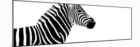 Safari Profile Collection - Zebra White Edition IV-Philippe Hugonnard-Mounted Photographic Print