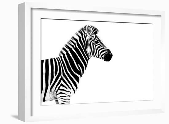 Safari Profile Collection - Zebra White Edition-Philippe Hugonnard-Framed Photographic Print