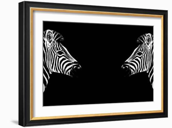 Safari Profile Collection - Zebras Face to Face Black Edition-Philippe Hugonnard-Framed Photographic Print
