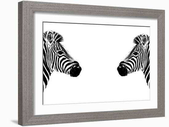 Safari Profile Collection - Zebras Face to Face White Edition-Philippe Hugonnard-Framed Photographic Print