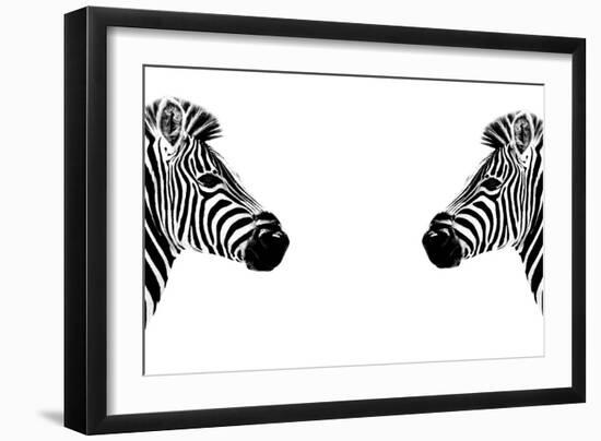 Safari Profile Collection - Zebras Face to Face White Edition-Philippe Hugonnard-Framed Photographic Print