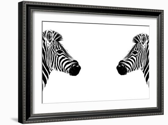 Safari Profile Collection - Zebras Face to Face White Edition-Philippe Hugonnard-Framed Photographic Print