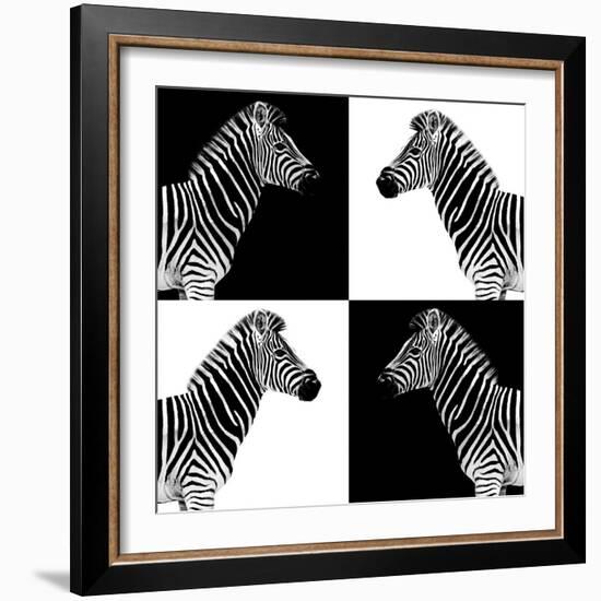 Safari Profile Collection - Zebras II-Philippe Hugonnard-Framed Photographic Print