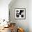 Safari Profile Collection-Philippe Hugonnard-Framed Photographic Print displayed on a wall