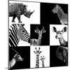 Safari Profile Collection-Philippe Hugonnard-Mounted Photographic Print
