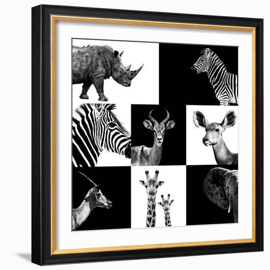 Safari Profile Collection-Philippe Hugonnard-Framed Photographic Print