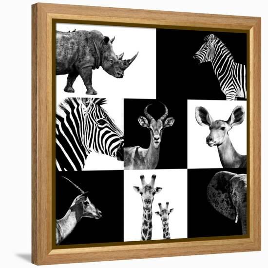 Safari Profile Collection-Philippe Hugonnard-Framed Premier Image Canvas