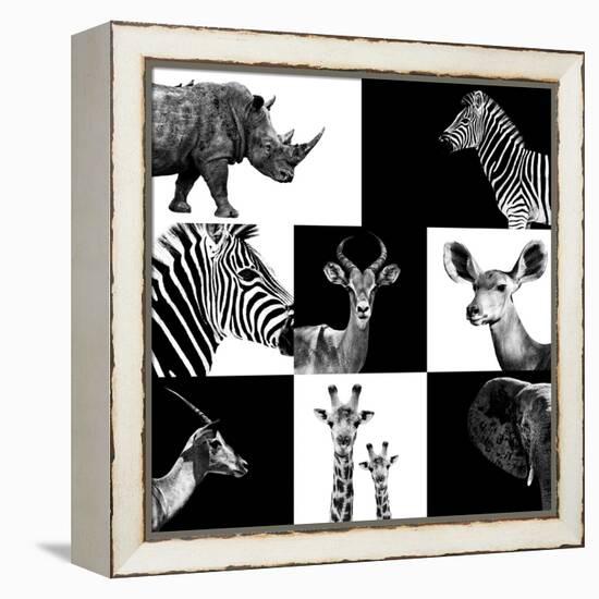 Safari Profile Collection-Philippe Hugonnard-Framed Premier Image Canvas