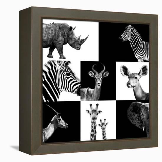 Safari Profile Collection-Philippe Hugonnard-Framed Premier Image Canvas