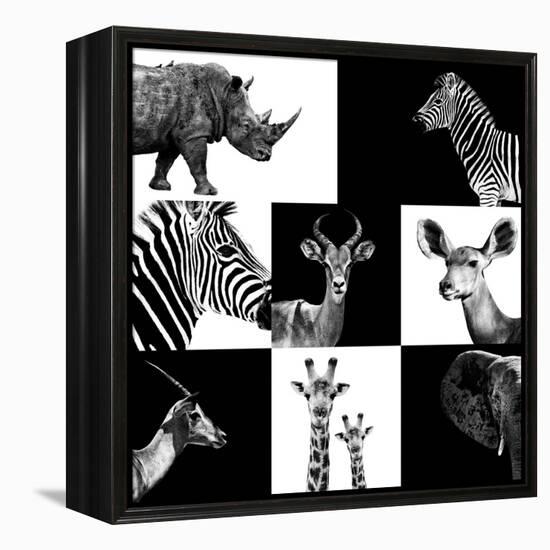 Safari Profile Collection-Philippe Hugonnard-Framed Premier Image Canvas