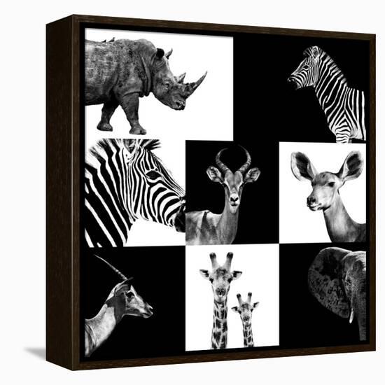 Safari Profile Collection-Philippe Hugonnard-Framed Premier Image Canvas