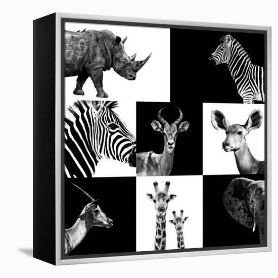 Safari Profile Collection-Philippe Hugonnard-Framed Premier Image Canvas