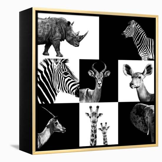 Safari Profile Collection-Philippe Hugonnard-Framed Premier Image Canvas