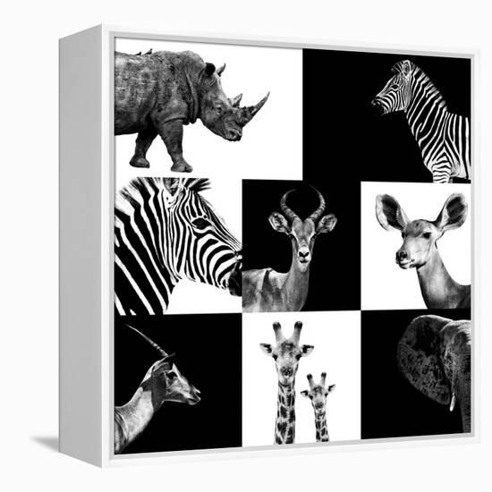 Safari Profile Collection-Philippe Hugonnard-Framed Premier Image Canvas