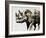 Safari Scenes II-Sydney Edmunds-Framed Giclee Print