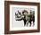 Safari Scenes II-Sydney Edmunds-Framed Giclee Print