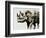 Safari Scenes II-Sydney Edmunds-Framed Giclee Print