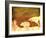 Safari Sunrise II-Pam Ilosky-Framed Art Print