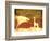 Safari Sunrise IV-Pam Ilosky-Framed Art Print