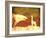 Safari Sunrise IV-Pam Ilosky-Framed Art Print