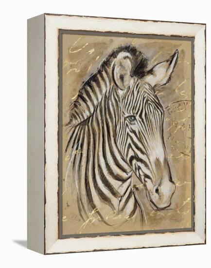 Safari Zebra-Chad Barrett-Framed Stretched Canvas