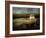 Safe Harbor-Lydia Marano-Framed Photographic Print