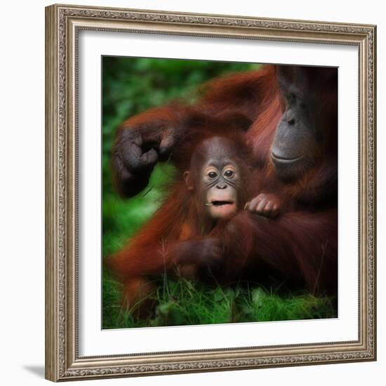 Safe-Ruud Peters-Framed Photographic Print