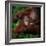 Safe-Ruud Peters-Framed Photographic Print