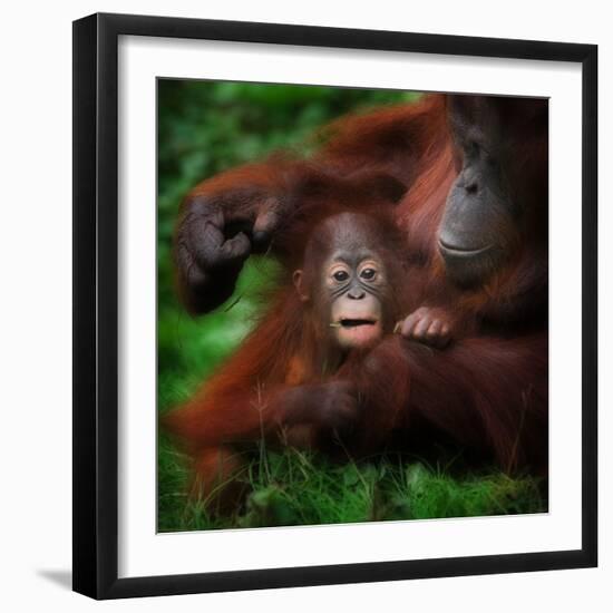 Safe-Ruud Peters-Framed Photographic Print