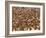 Safety in Numbers 3 (red-billed quelea), Namibia, 2018-Eric Meyer-Framed Photographic Print