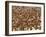 Safety in Numbers 3 (red-billed quelea), Namibia, 2018-Eric Meyer-Framed Photographic Print