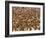 Safety in Numbers 3 (red-billed quelea), Namibia, 2018-Eric Meyer-Framed Photographic Print