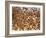 Safety in Numbers (red-billed quelea), Namibia, 2018-Eric Meyer-Framed Photographic Print