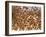 Safety in Numbers (red-billed quelea), Namibia, 2018-Eric Meyer-Framed Photographic Print