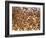 Safety in Numbers (red-billed quelea), Namibia, 2018-Eric Meyer-Framed Photographic Print