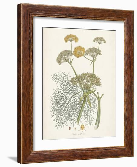 Saffron Botanicals II-Unknown-Framed Art Print