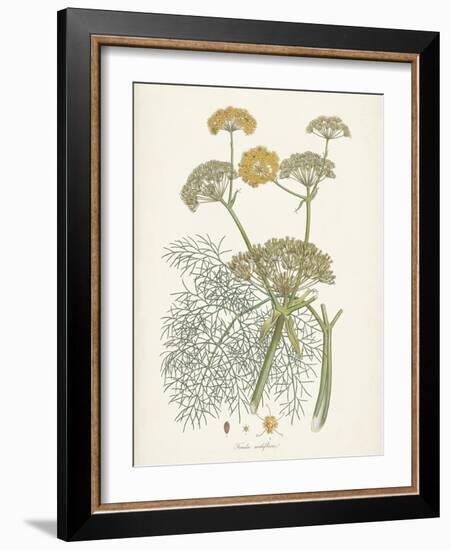 Saffron Botanicals II-Unknown-Framed Art Print