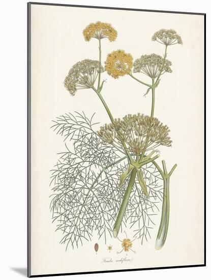 Saffron Botanicals II-Unknown-Mounted Art Print