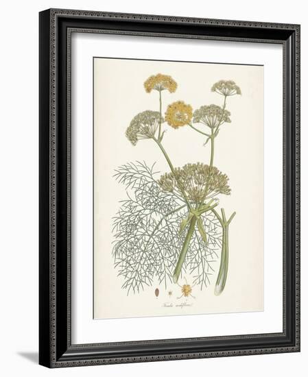 Saffron Botanicals II-Unknown-Framed Art Print