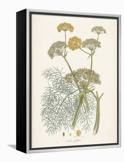 Saffron Botanicals II-Unknown-Framed Stretched Canvas