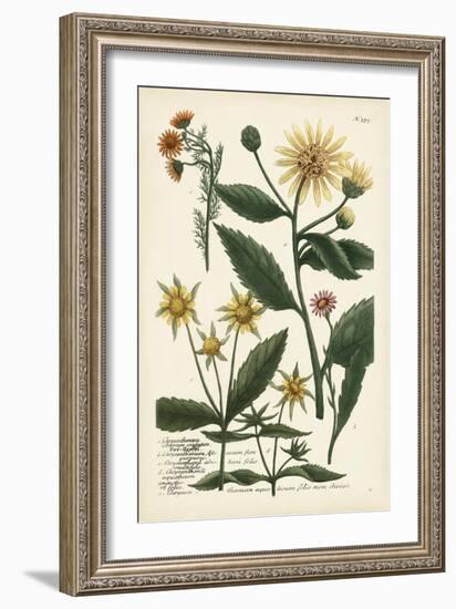 Saffron Garden I-Weinmann-Framed Art Print