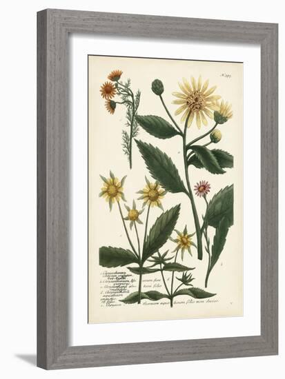 Saffron Garden I-Weinmann-Framed Art Print