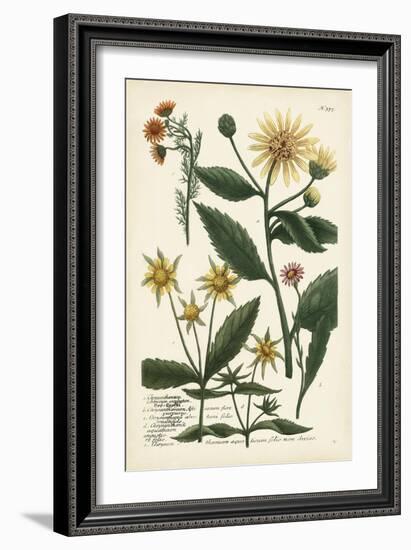 Saffron Garden I-Weinmann-Framed Art Print