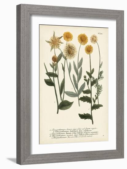 Saffron Garden III-Weinmann-Framed Art Print