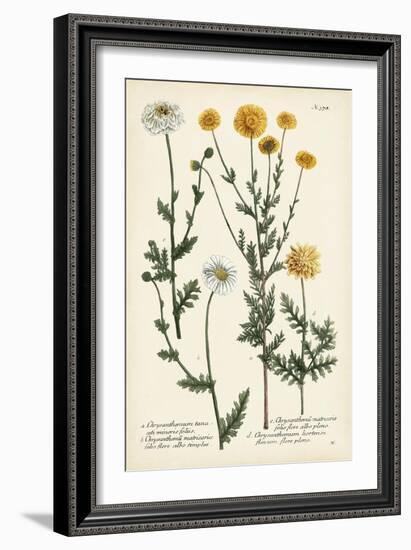 Saffron Garden IV-Weinmann-Framed Premium Giclee Print