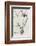 Saffron Plant, 18th Century-Middle Temple Library-Framed Photographic Print