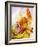 Saffron Tagliolini with Seafood-Herbert Lehmann-Framed Photographic Print