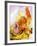 Saffron Tagliolini with Seafood-Herbert Lehmann-Framed Photographic Print