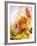 Saffron Tagliolini with Seafood-Herbert Lehmann-Framed Photographic Print