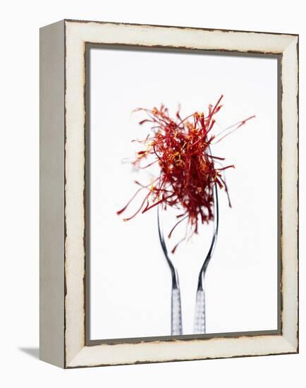 Saffron Threads in Tongs-Marc O^ Finley-Framed Premier Image Canvas